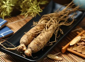 Panax ginseng roots